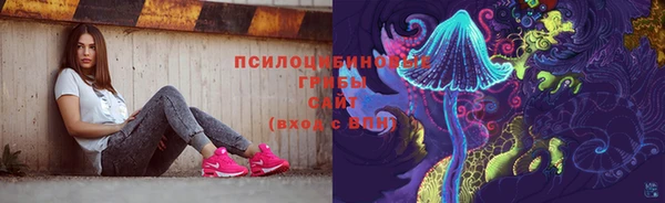 амф Переславль-Залесский