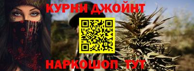 шишки Жуковский