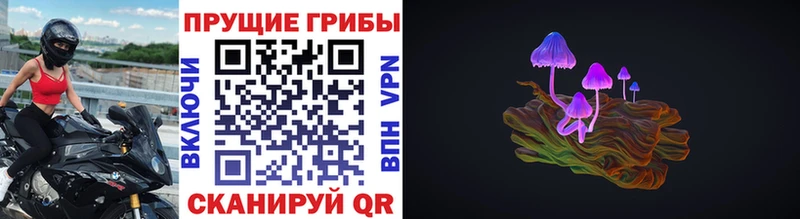 купить наркоту  Азов  Псилоцибиновые грибы ЛСД 