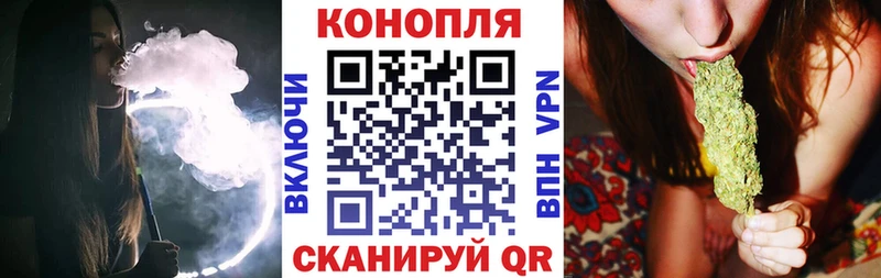 наркотики  Азов  Каннабис сатива 