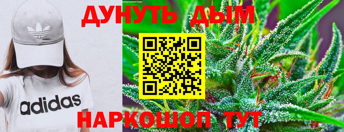 Бошки Шишки планчик Азов